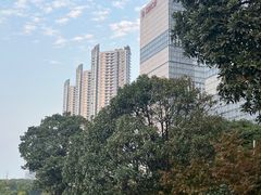 -长沙富力万达文华酒店