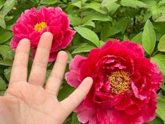 -江南大学(蠡湖校区)