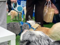-瑞鹏宠物医院·超声·骨科·奇麟分院(蜀都万达店)