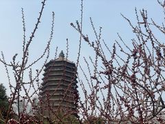 -玲珑塔公园