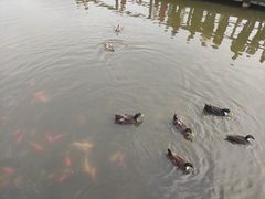 -前关湿地公园