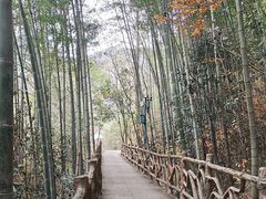 -燕子河大峡谷天坑仙境