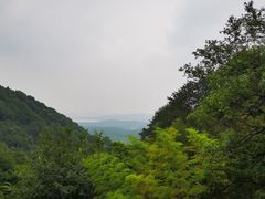 -韬光茶庵