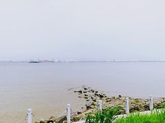 -海鸥岛
