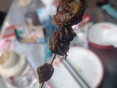 -古彭7只羊·招牌白串·碳锅羊肉旗舰店