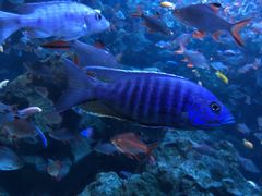 -成都浩海立方海洋公园