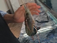 -SHRIMP CLUB万东餐饮钓虾·清吧