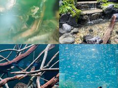 -海合安成都极地海洋公园