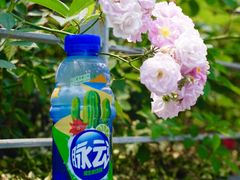 -同济大学-北苑食堂