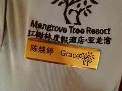 -三亚亚龙湾红树林度假酒店