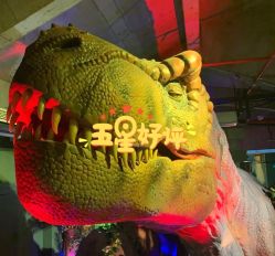 -恐龙探索乐园(磁器口店)