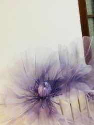 -美肤盾祛痘·问题肌头疗管理中心