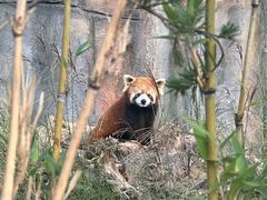 -武汉动物园