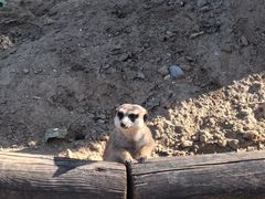 -北京野生动物园