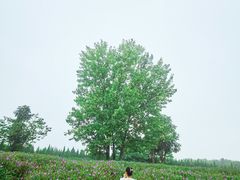 -汉长安城未央宫国家考古遗址公园