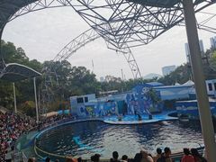 -深圳野生动物园