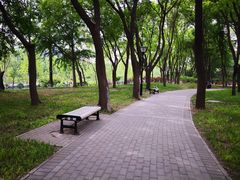 -玲珑塔公园