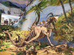 -自贡恐龙博物馆