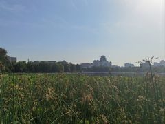 -莲花池公园