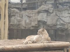 -石家庄市动物园