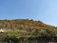 -武汉姚家山旅游景区