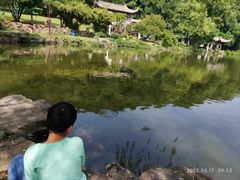 -团城山公园