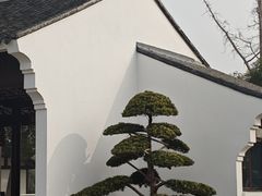 -梁鸿国家湿地公园