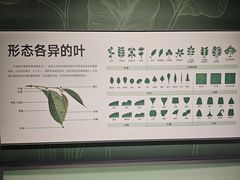 -四川大学博物馆