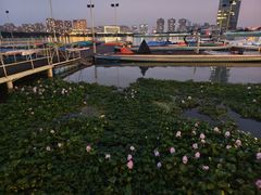 -无锡大剧院-售票中心