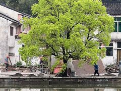 -东钱湖旅游度假区