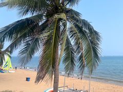 -西秀海滩公园