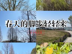 -阳澄湖半岛旅游度假区