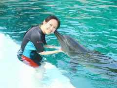 -新加坡水上探险乐园
