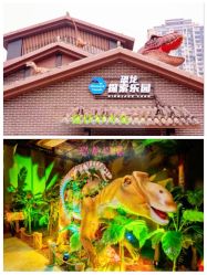 -恐龙探索乐园(磁器口店)