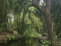 -燕晗山郊野公园