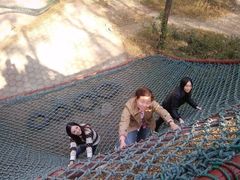 -原山国家森林公园