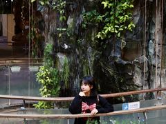 -正佳雨林生态植物园