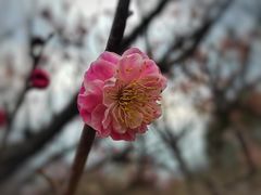 -西山风景区