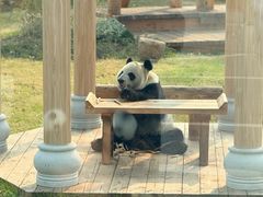 -无锡动物园·太湖欢乐园