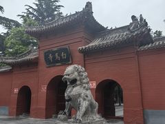-洛阳白马寺