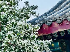 -天津妈祖文化园