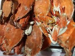 -宾朋海鲜特色美食餐厅·纯手工鲅鱼水饺(兴海路店)