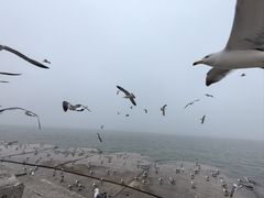 -星海广场
