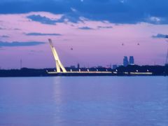 -人民防洪胜利纪念塔