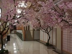 -极乐汇汗蒸会馆(杭州店)