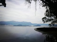 -大埔公路-马料水段香港中文大学(公交站)