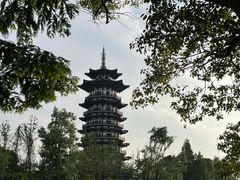 -洋湖国家湿地公园