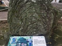 -海口火山口国家地质公园