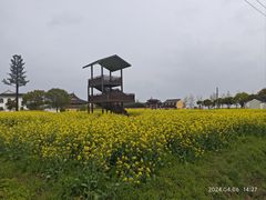 -莲花岛景区