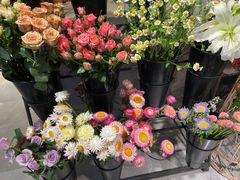 -之悦咖啡馆(新星宇·之洲店)